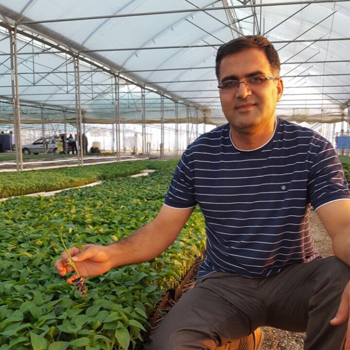 Emerald Farm greenhouse production